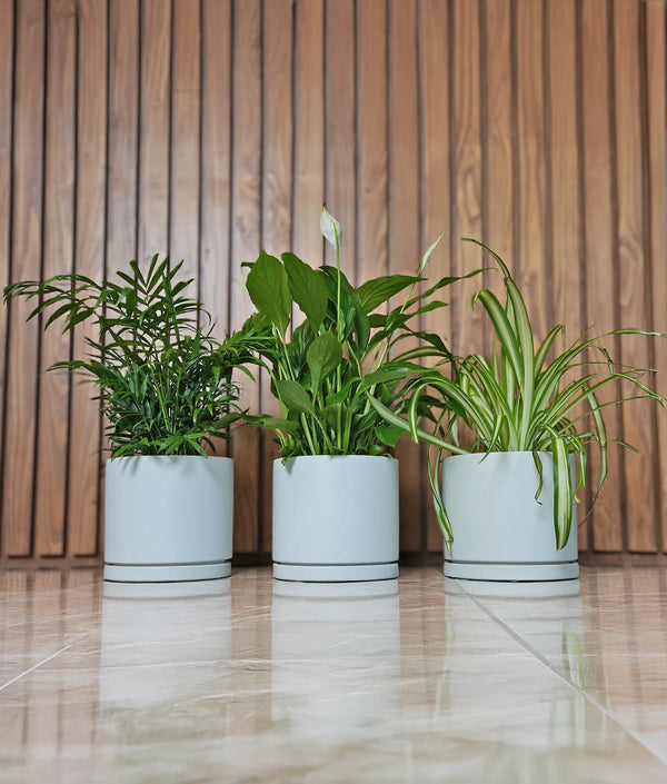 Hard to Kill Mini Bundle